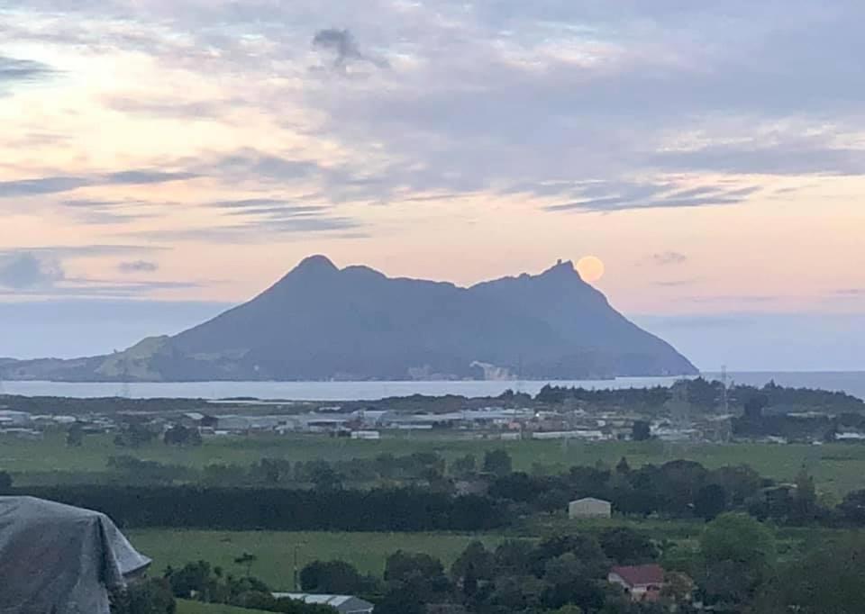 Moko Hiwi Escape - Kotare Suite Ruakaka Kültér fotó